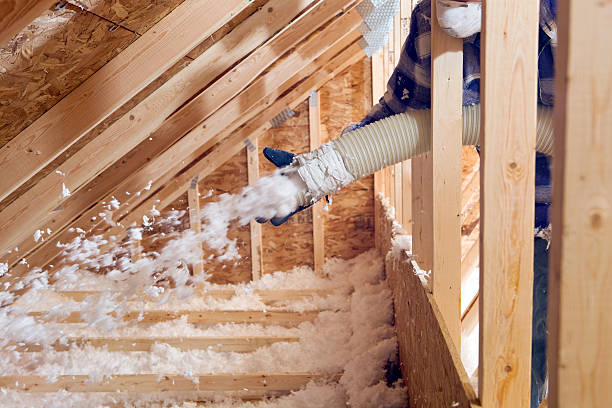 Best Garage Insulation  in USA